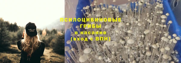 ECSTASY Иннополис