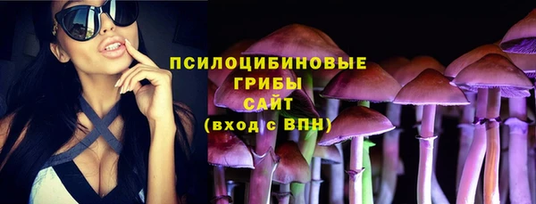 прущая мука Инта