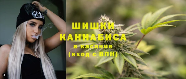 прущая мука Инта