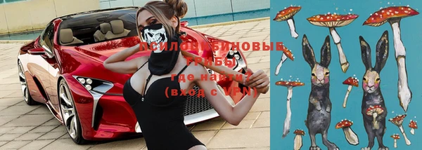 марки lsd Инсар