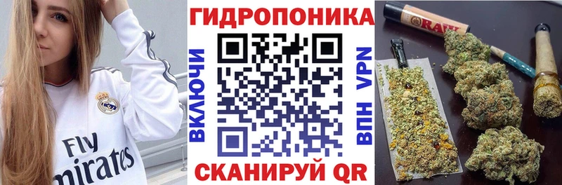Бошки марихуана конопля Данков